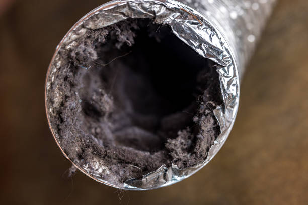 Best Residential Air Duct Cleaning  in Mill Valley, CA
