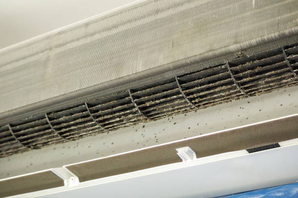 Best Air Quality Test  in Mill Valley, CA